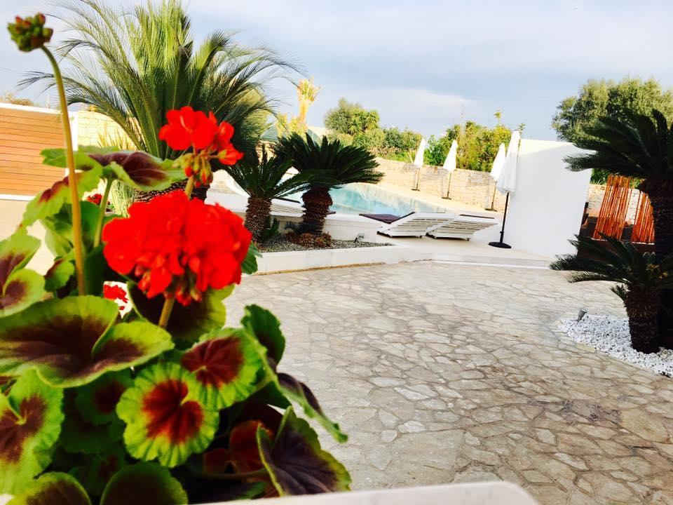 Carone Suite-Charme&Pool Polignano a Mare Buitenkant foto